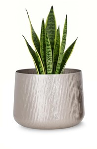 Pot de fleurs texturé argenté à prix de gros pour plantes d'intérieur, décoration maison et bureau - Product Image 3