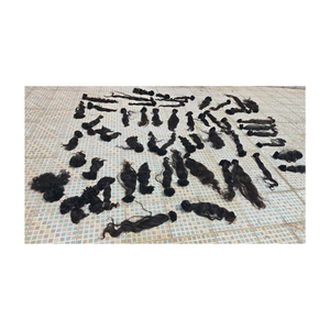 Perruque en cheveux indiens vierges doublement étirés, en vrac, avec des mèches non traitées, épaisses de la racine aux pointes, idéale pour une tenue durable. - Product Image 3