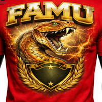 T-shirts graphiques FAMU personnalisés pour hommes et femmes, étiquette privée OEM, haute qualité, 100% coton, séchage rapide et respirant