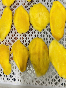 Wholesale Soft <b>Dried</b> <b>Mango</b> | Premium Natural Soft <b>Dried</b> <b>Mango</b> from Vietnam | Bulk Supply Organic <b>Dried</b> <b>Mango</b> for B2B - Product Image 3