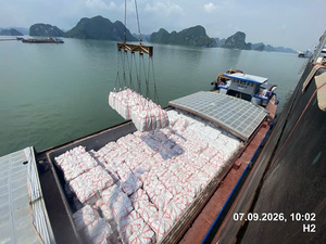 Portland Cement Gray Powder Expansive Normal Hardening 42.5MPa <b>Strength</b> Building Material - Product Image 3