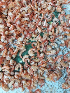 Crevettes Vannamei séchées du Vietnam Blue Lotus, prêtes à consommer, sachet de 0,5 kg, durée de conservation de 24 mois - Product Image 5