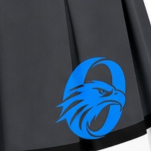 Jupe plissée gris-bleu sublimée pour cheerleading, bas de tenue de sport d'équipe, vêtements d'entraînement athlétique, compétition - Product Image 6