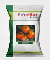 Semences de tomates CRADLE of LIFE pour l'agriculture - Rendement élevé, durée de conservation de 12 mois, scellées sous vide, prêtes à la plantation