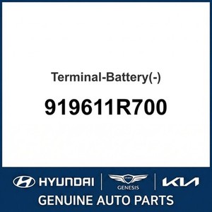 Nouvelles batteries Accent 919611R700 - Product Image 1