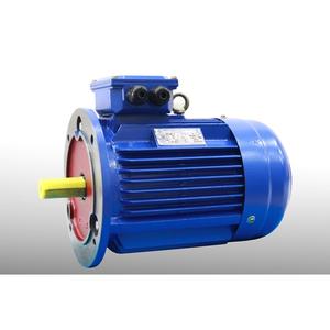 Motor Asíncrono Trifásico de Alto Rendimiento TP-1FVN, de Aluminio Fundido, 10 kW, 50Hz-60Hz, IP55, 14-25kG - Product Image 6