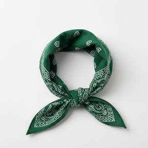 Foulard bandana style vintage à motif cachemire, bandeau polyvalent en coton pour la mode streetwear et les accessoires de festival en plein air - Product Image 5