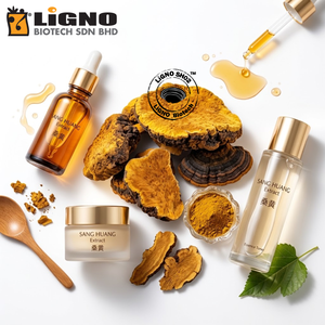 สารสกัดน้ำฟิลลินัส ลินเทอุส ซัง หวง แบบเต็มสเปกตรัม LiGNO SH02-Ex บรรจุในถังสำหรับผลิตภัณฑ์เครื่องสำอาง บรรจุภัณฑ์แบบ OEM - Product Image 1