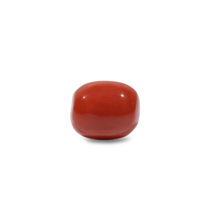 Natural Loose Gemstone-11.55 Carat Certified Red Coral-Wholesale Quality - Product Image 1