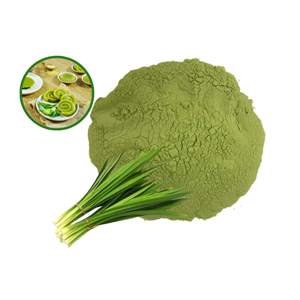 Polvo de Hoja de Pandan Secado por Aspersión Directo de Fábrica, Disolución Instantánea para el Mercado Alimentario Australiano, Precio Mayorista Económico - Product Image 5