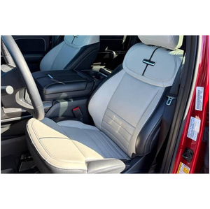 Ford F-150 Lightning Platinum 2024 - Product Image 2