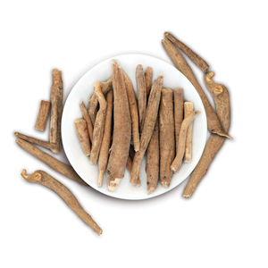 Raíz de Ashwagandha (Withania Somnifera) Seca al Sol Naturalmente de Rajasthan, Proveedor a Granel para Uso Cosmético y Medicinal - Product Image 4