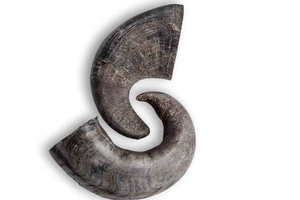 Juguetes Masticables para Perros de Cuerno de Búfalo Naturales de Alta Calidad de la India, Venta al por Mayor - Product Image 2