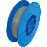 Filament HP PEEK PFLUON 8100G 1,75 mm, polymère haute température HPpk-B500, imprimante 3D, 500 g, haute résistance à la chaleur, naturel, fabriqué au Japon