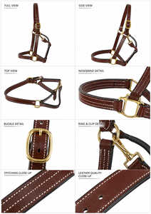 Premium Full Grain Leather Horse Halter Adjustable Heavy Duty <b>Equestrian</b> Headstall From Divine International - Product Image 3