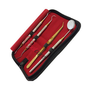 Kits de Examen Dental de Acero Inoxidable a Precio de Mayoreo para Venta en Línea - Product Image 2