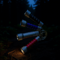 Mini lampe torche à LED blanche 5 LED en alliage d'aluminium, alimentée par piles AAA, à intensité réglable, compacte, portable, pour usage extérieur