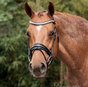 Cuerda de cuero natural suave DD negra/marrón para caballo árabe, halter con accesorios de latón SS, juego de cadena de cuero, tamaños personalizables - Product Image 6