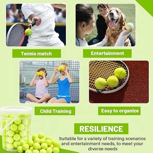 Premium Quality Professional Promotional Practice Hard Paddle <b>Dog</b> <b>Balls</b> Customised Manufacturer Durable Natural Rubber Pet - Product Image 5