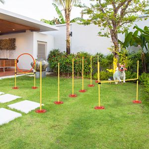 Attrezzatura per l'addestramento all'agility per cani - Product Image 1