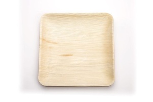 Assiettes à collation en feuille de palmier naturelle, design optimal, carrées de 6 pouces, pour la maison et les restaurants, pour chaat, desserts et apéritifs, modèle 2026 - Product Image 1