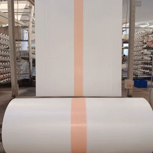 Sacs tissés en polypropylène (PP) de 25 kg, 50 kg, 100 kg pour l'emballage de farine, sucre, riz, avec rouleau de PP tissé de qualité supérieure - Product Image 1