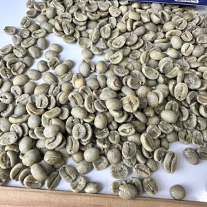 เมล็ดกาแฟอาราบิก้าเวียดนาม SCR16 SCR18 แบบล้างสะอาดทั้งหมด จำหน่ายแบบขายส่งสำหรับผู้ค้าส่งกาแฟญี่ปุ่นและเกาหลี/ ANNA D - Product Image 2
