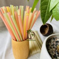 Fabricant de paille de noix de coco vente en gros de paille de riz colorée VIETNAM/paille de riz jetable/pailles à boire écologiques