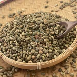 Granos de Café Robusta de Nueva Cosecha, Proceso de Lavado, Pantalla 13, Alta Tasa de Maduración, Materia Prima para Tostar, Sabor Suave y Aroma Intenso - Product Image 6