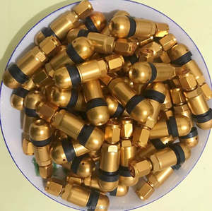 Prix de gros tige de <span class=keywords><strong>valve</strong></span> de <span class=keywords><strong>pneu</strong></span> en alliage tiges de <span class=keywords><strong>valve</strong></span> de <span class=keywords><strong>pneu</strong></span> Tubeless de remplacement pour bmw mercedes audi tesla porsche roues <span class=keywords><strong>Valve</strong></span> - Product Image 3