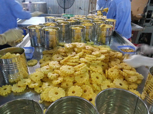 [MEJOR CALIFICADO] |   Piña en Rodajas Enlatada al por Mayor, Fruta Tropical Premium para Uso en Confitería, Procedente de Vietnam - Product Image 6