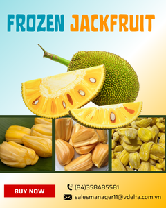Jackfruit Congelé Premium du Vietnam IQF, Jackfruit Naturel Sucré Prêt à Consommer, Fournisseur en Gros de Fruits Tropicaux - Product Image 2