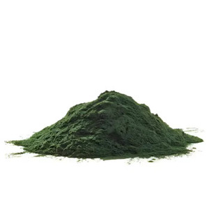 Poudre de spiruline bleue pure, culture sauvage, qualité alimentaire, végétalienne, sans gluten, colorant naturel, vente en gros, Gujarat - Product Image 1