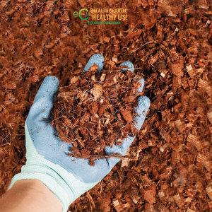 Eco2go Vietnam Coco Husk Chip Block 30x30x15cm for <b>Plant</b> Growing - Product Image 6