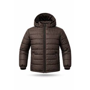 Chaqueta de Invierno Acolchada para Hombre, con Capucha, de Poliéster Taslan, Abrigo Cálido, Proveedor, Listo para Enviar Pedidos al por Mayor, Personalización Completa, OEM - Product Image 1