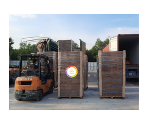 ใยมะพร้าว-บล็อกพีทโคโค่จากเวียดนาม, อีซีต่ำเหมาะสำหรับการทำสวนปลูกและใช้ในอุตสาหกรรม2025 - Product Image 3