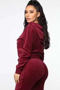 Wine Red Velour Eco-Friendly Winter Tracksuit Two Piece Set Hooded <b>Joggers</b> Full Sleeve Solid Color Casual <b>Outfit</b> <b>Women</b> Plus Size - Product Image 6