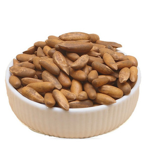Noix de pin de qualité supérieure à vendre - Vente en gros de noyaux de pin rouge naturels - Product Image 1