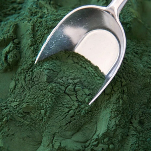 Espirulina en Polvo de Alta Calidad, Orgánica, Superalimento Natural, Desintoxicante, Energético, Rico en Hierro y Proteínas, Suplemento para la Salud, Venta al Por Mayor - Product Image 4