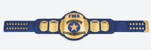 Ceinture de champion personnalisée BJJ Muay Thai - Ceinture de championnat en alliage de zinc de qualité supérieure pour les tournois et événements - Product Image 2