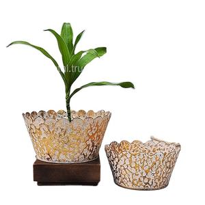 ชุดกระถางตั้งโต๊ะแบบเคลือบผงเป็นมิตรต่อสิ่งแวดล้อม2ชั้นสำหรับตกแต่งในบ้านสำนักงานสวนกลางแจ้งสถานรับเลี้ยงเด็ก - Product Image 1