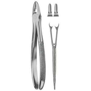 Instrumentos Médicos, Dentales y Quirúrgicos de Varsovia - Product Image 2