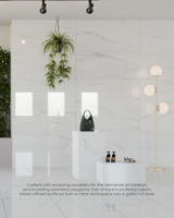 Collection de carreaux en porcelaine de haute qualité 24x48, disponible en différentes tailles et surfaces, designs exclusifs, personnalisation possible, épaisseur 9 mm.