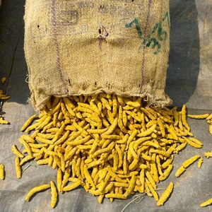Curcuma indien pur biologique 100 % nettoyé à la machine, riche en curcumine, provenant du Gujarat, pour les marques alimentaires et les importateurs mondiaux - Product Image 3