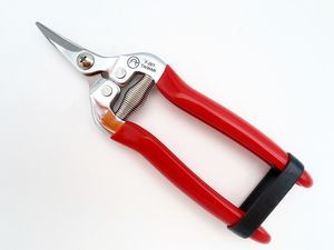 Tijeras de fruta de acero inoxidable, fácil de recoger - Product Image 3