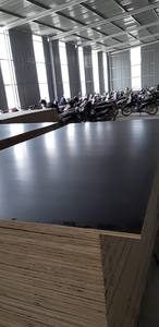 Moderno 9mm de espesor Eucalipto Acacia Core madera contrachapada negro marrón película cara E0 para Hotel al aire libre construcción decorativa - Product Image 4