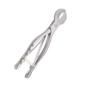 Surtechs Hard Dental Gypsum Scissors Manual <b>Plaster</b> Shears Big Lab Tool Dental Surgical Instruments - Product Image 3