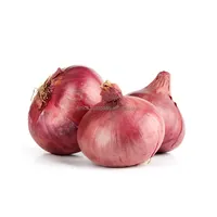 Guaranteed fresh onions exporter/ 100% best quality onions/ onions in bulk