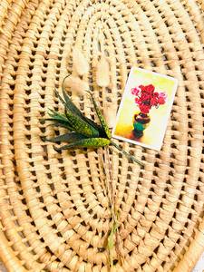 Handwoven Rattan Serving Tray with Handles Round Rattan Tray for Table Decor <b>Rectangular</b> Cane Serving Tray - Product Image 4