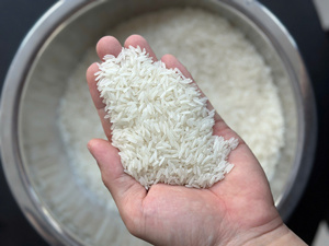 Arroz Jazmín de Grano Largo Blanco de Primera Calidad para Comunidades Asiáticas Jacob - Product Image 1